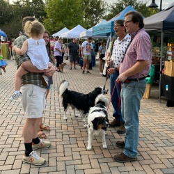 People with dogs at market